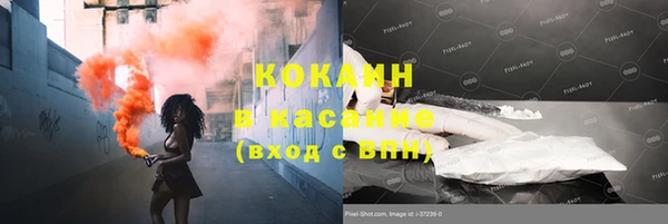 дмт Абаза
