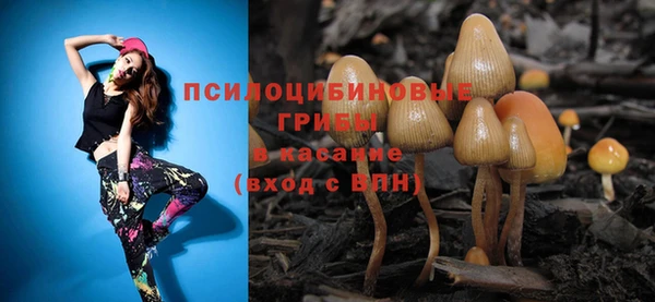 дмт Абаза