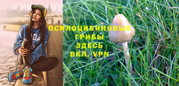 ПСИЛОЦИБИНОВЫЕ ГРИБЫ Новокубанск