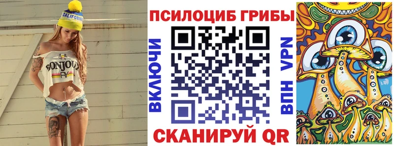 сайты даркнета телеграм  как найти наркотики  Стерлитамак  Псилоцибиновые грибы MAGIC MUSHROOMS 